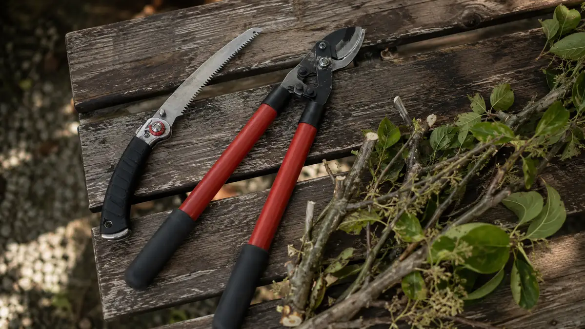 Folding Pruning Saw vs. Loppers: Which One to Grab for Thick Branches
